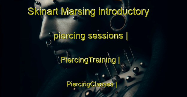 Skinart Marsing introductory piercing sessions | PiercingTraining | PiercingClasses | SkinartTraining-United States